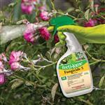16116 Fungicide 5 RTU lifestyle